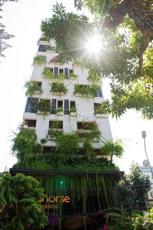 Seahorse Tropical Apartment Danang Exteriér fotografie